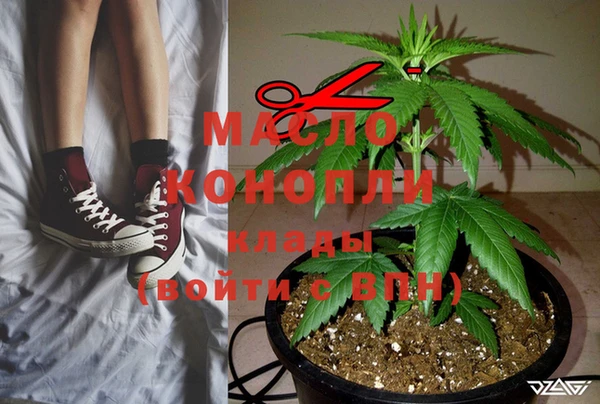 дмт Мегион