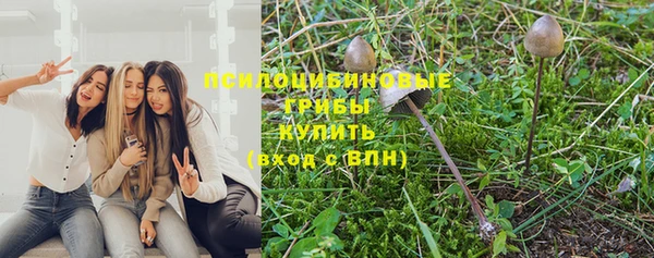 дмт Мегион