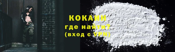 дмт Мегион