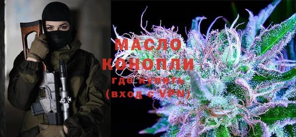 дмт Мегион
