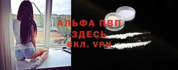 дмт Мегион