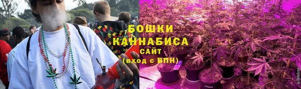 дмт Мегион