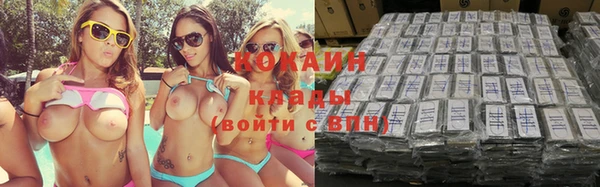 дмт Мегион