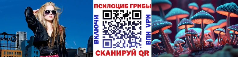 магазин    Йошкар-Ола  площадка формула  Галлюциногенные грибы мицелий 