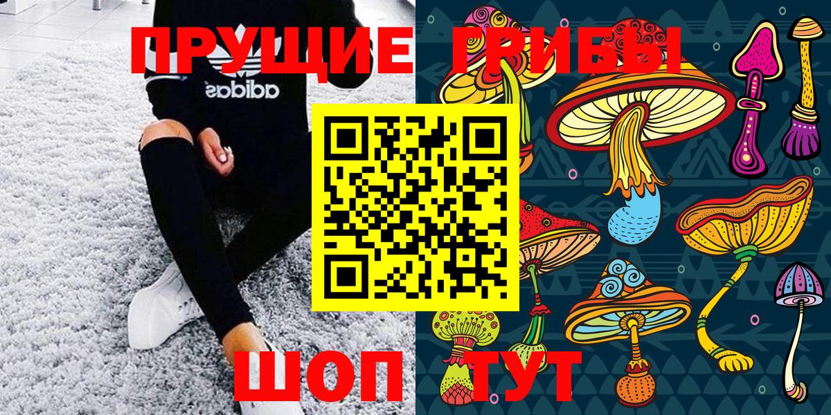 Псилоцибиновые грибы мухоморы  Галлюциногенные грибы Psilocybe  Йошкар-Ола  Вход с VPN 