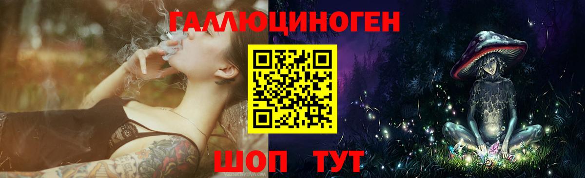 Псилоцибиновые грибы мицелий Йошкар-Ола