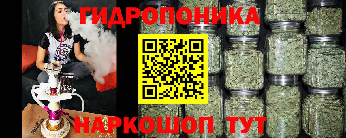Шишки марихуана план  Йошкар-Ола  Бошки Шишки LSD WEED  Шишки марихуана семена 